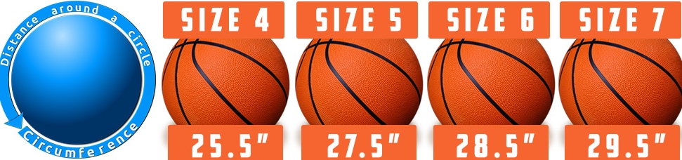 Spalding Basketball Size Chart